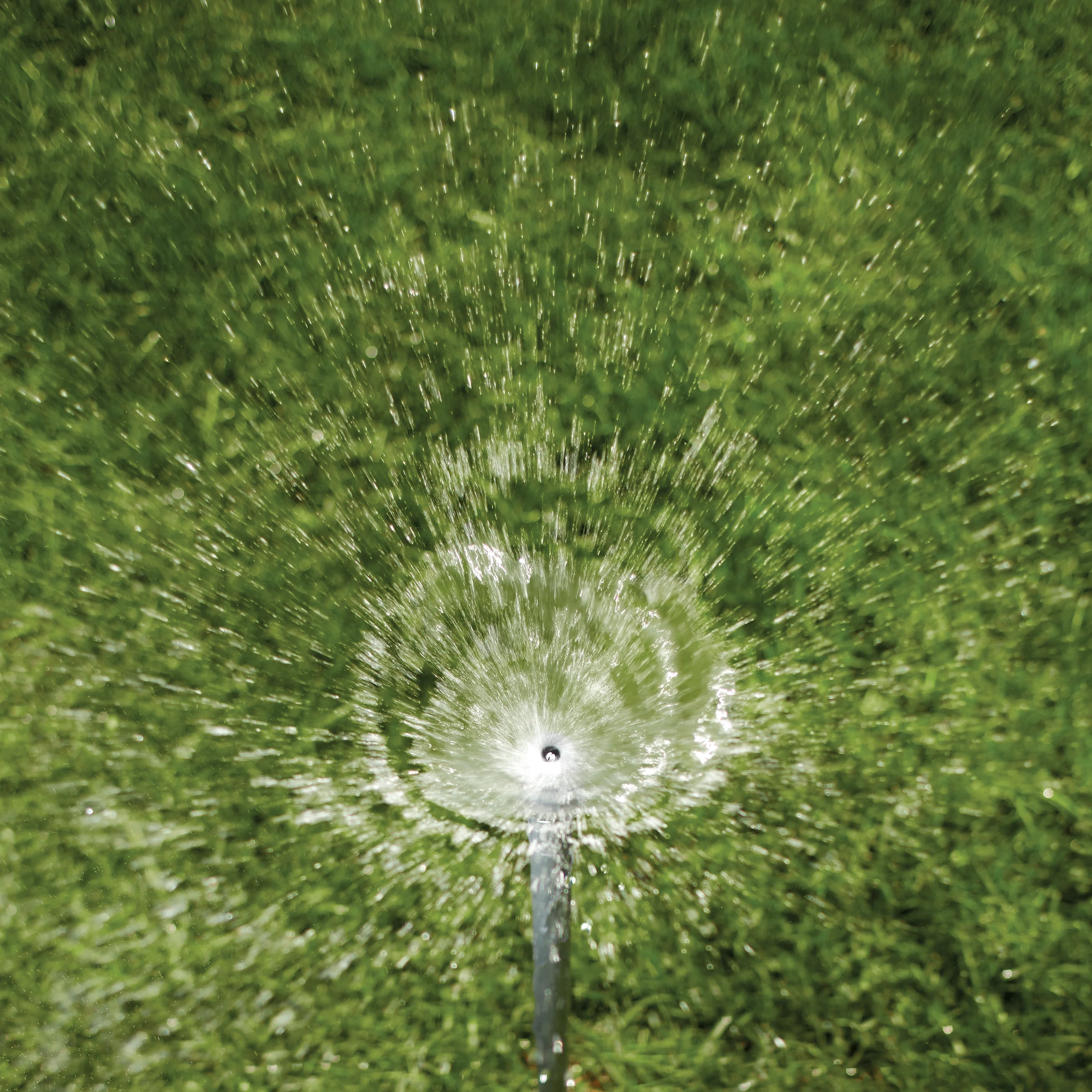 Shrub Head w/Full Pattern Insert Nozzle | 54009 - Image 3
