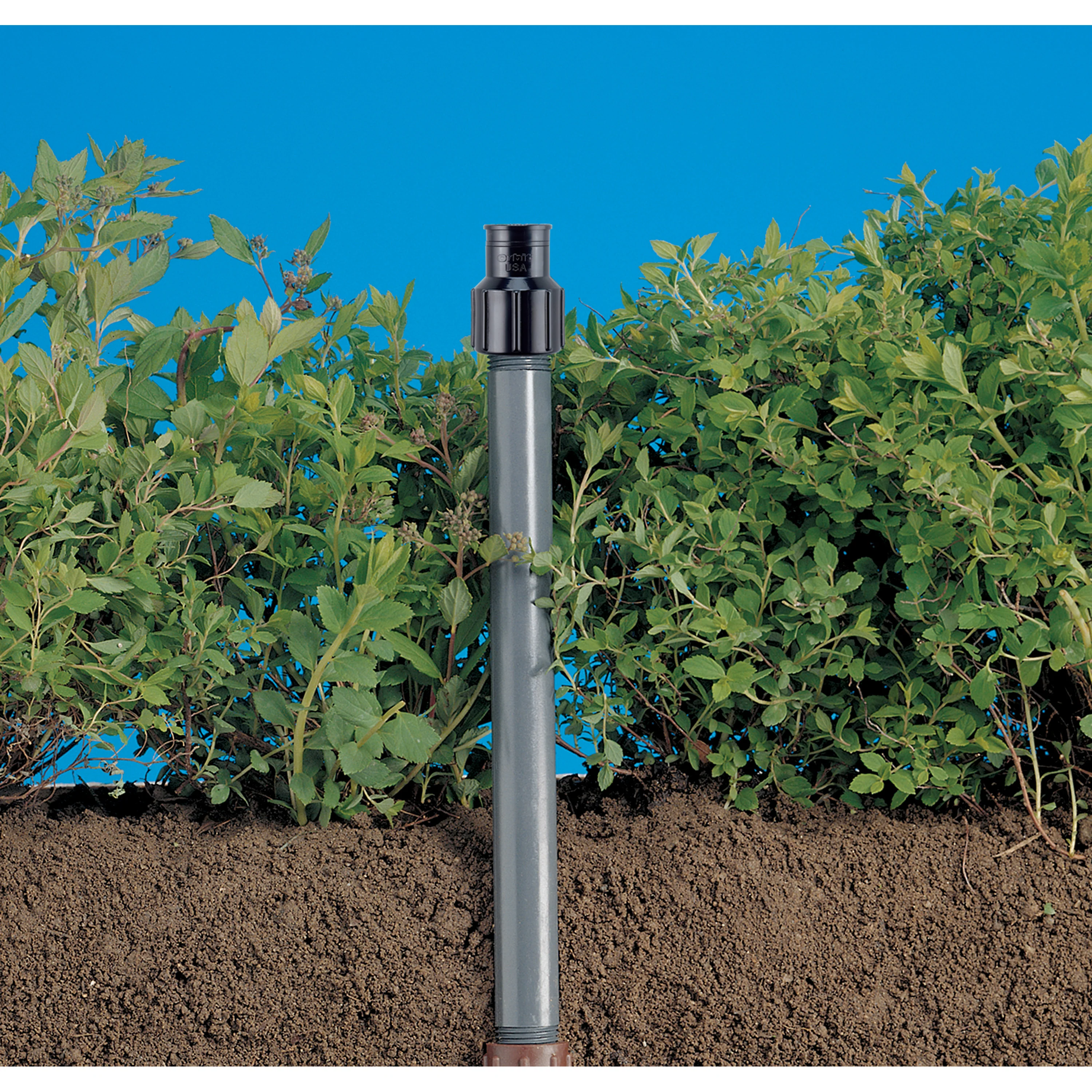 Shrub Head w/Full Pattern Insert Nozzle | 54009 - Image 5