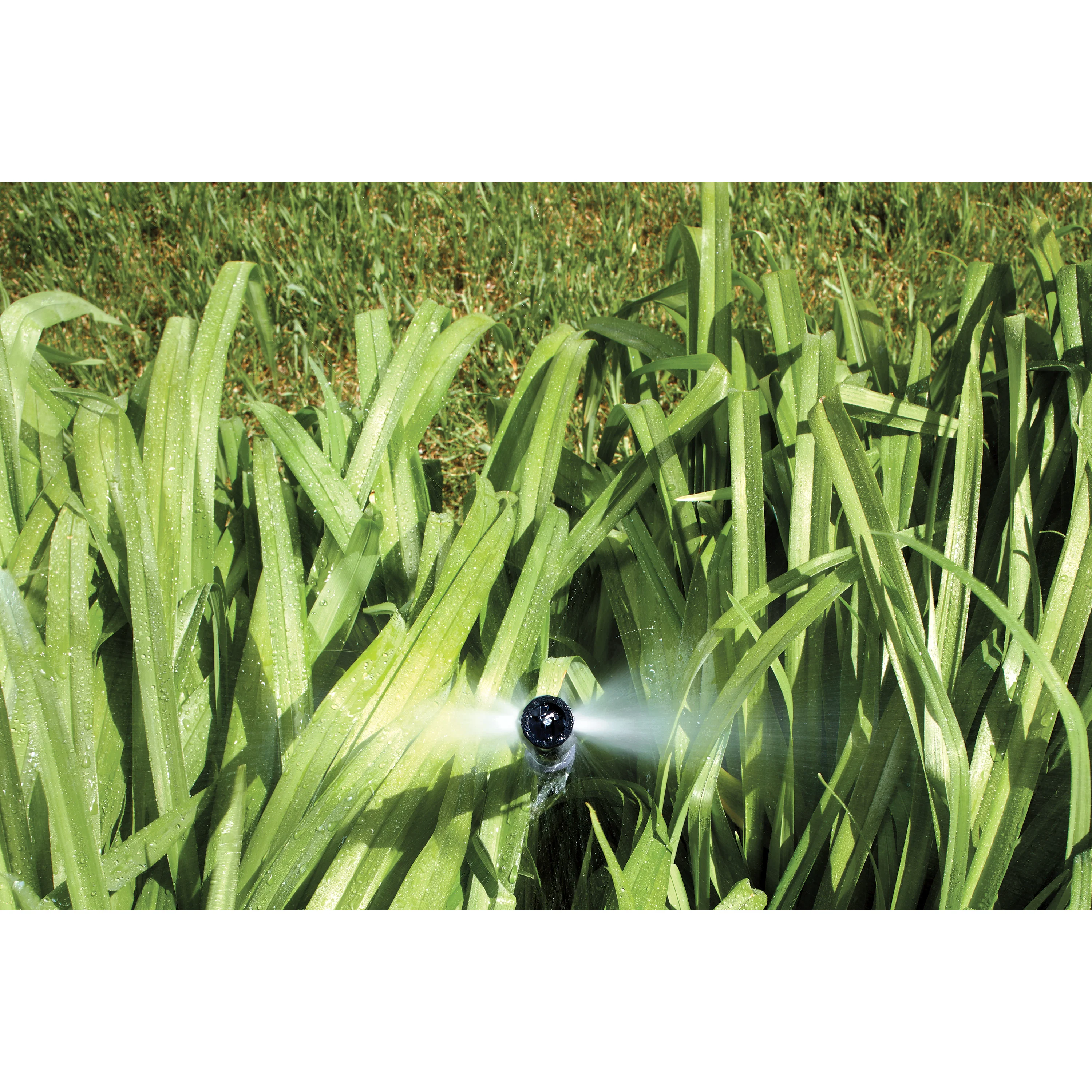 Shrub Head w/Ctr Strip Pattern Insert Nozzle | 54013 - Image 5