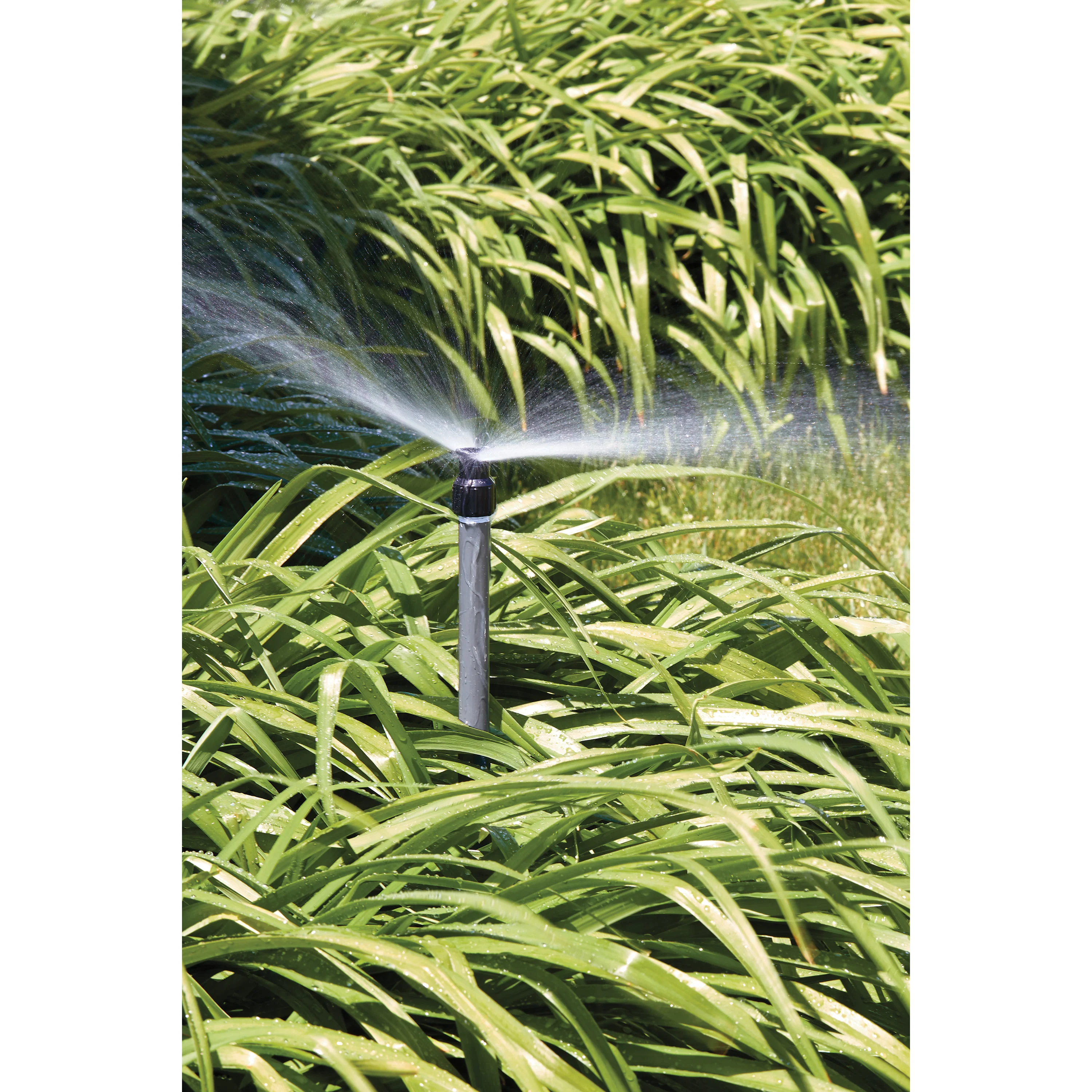 Shrub Head w/Ctr Strip Pattern Insert Nozzle | 54013 - Image 6