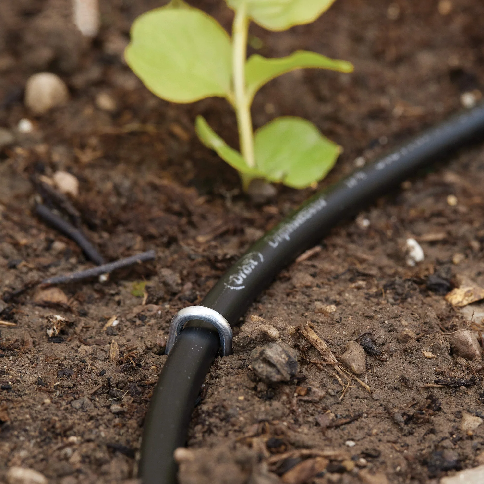 1/4" Drip Tubing Loop Stake 65730 - Image 3