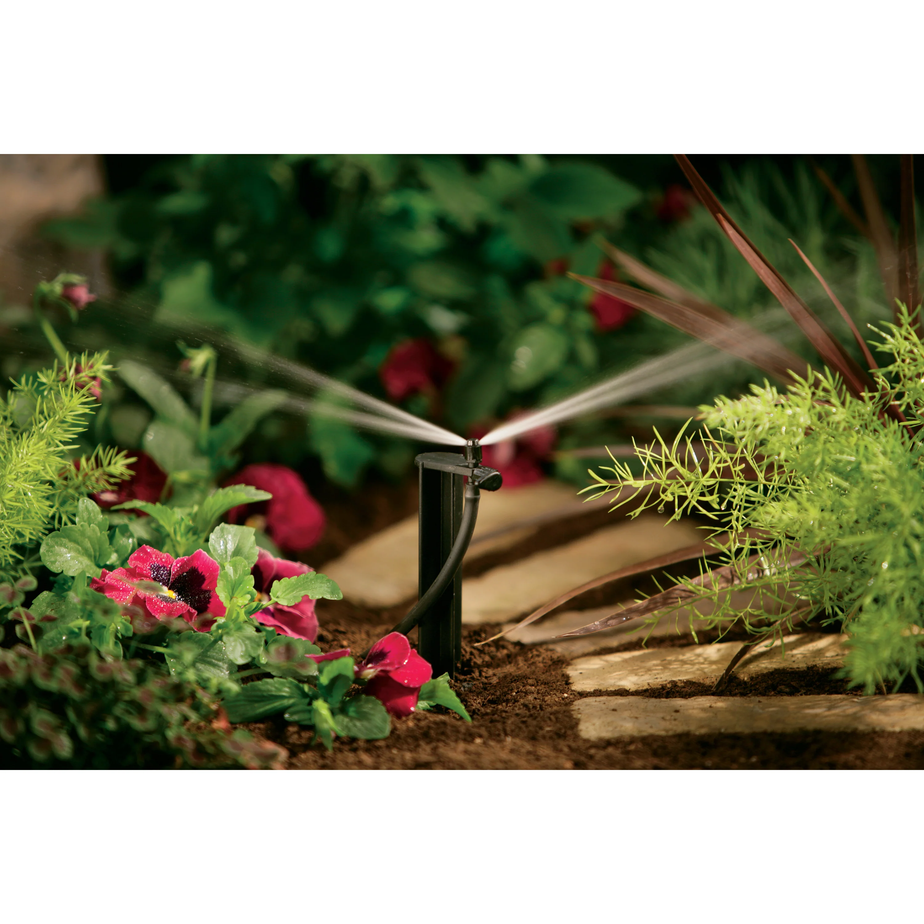 1/4" Barb Micro-Sprinkler Ctr Strip Pattern on 12" Stake | 67135 - Image 2