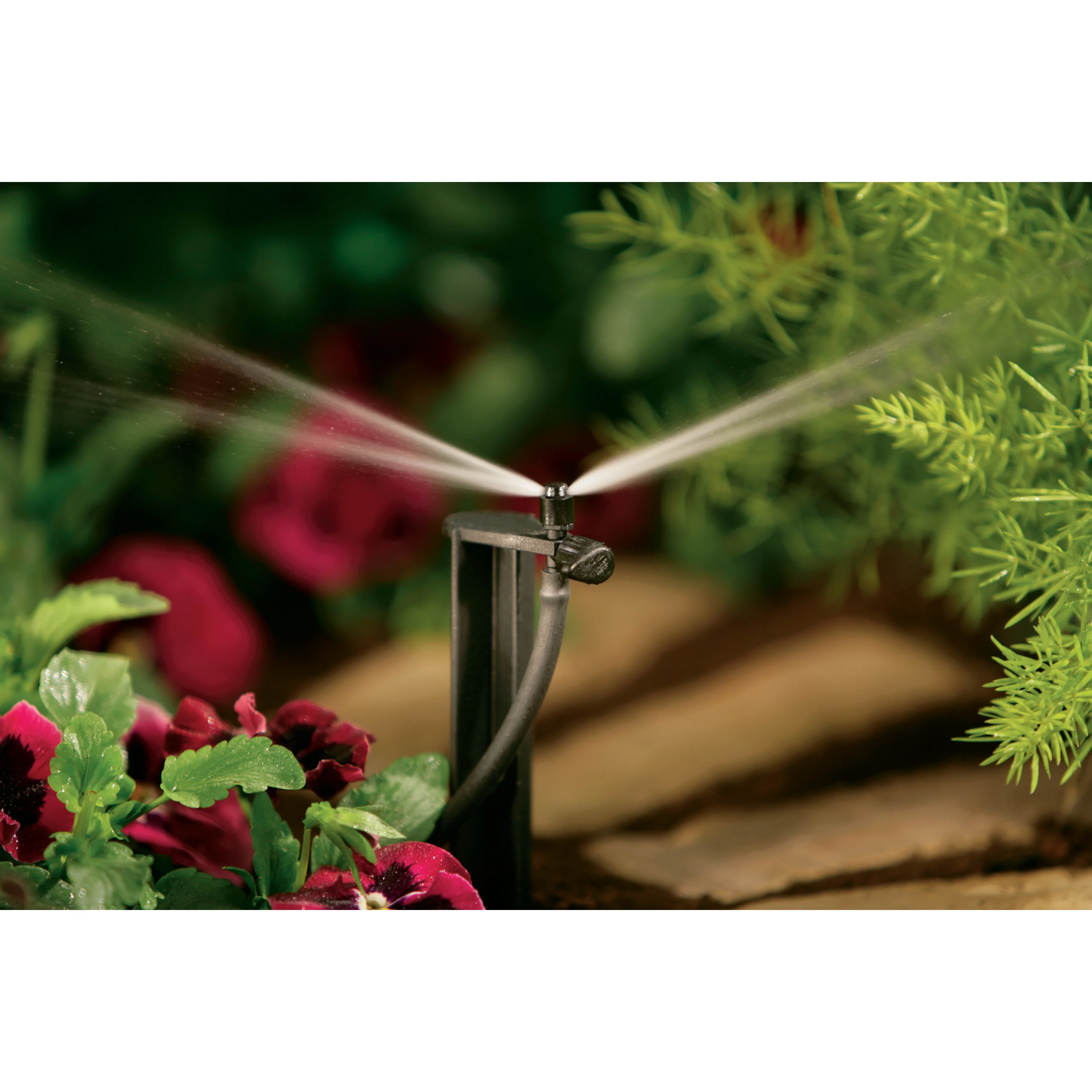 1/4" Barb Micro-Sprinkler Ctr Strip Pattern on 12" Stake | 67135 - Image 3