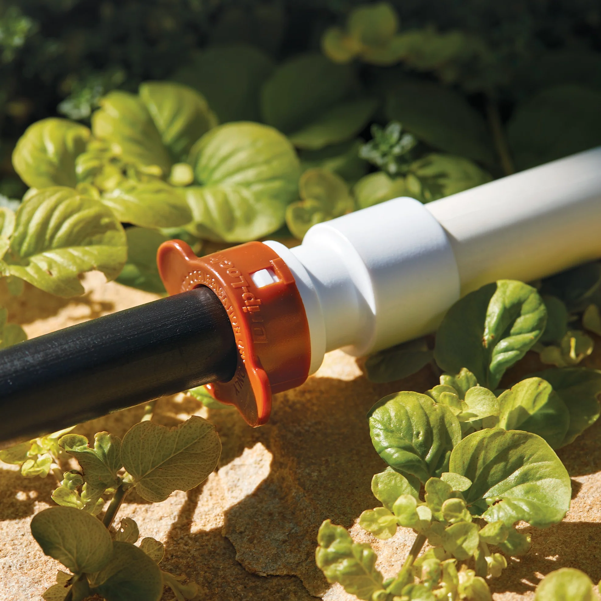 3/4" PVC Slip x 1/2" Drip-Lock Adapter 67448 - Image 2