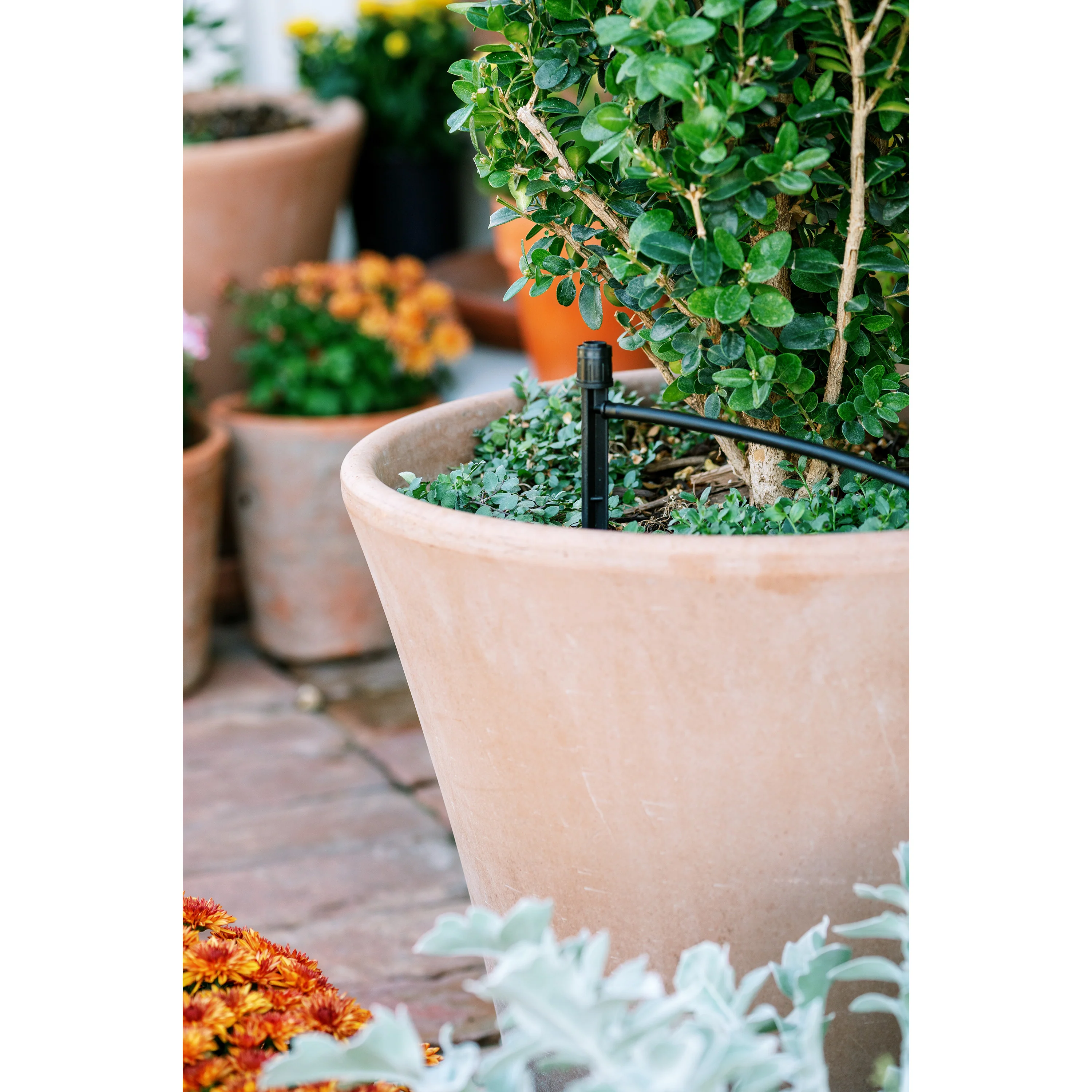 Patio & Potted Plant Kit 67523 - Image 9