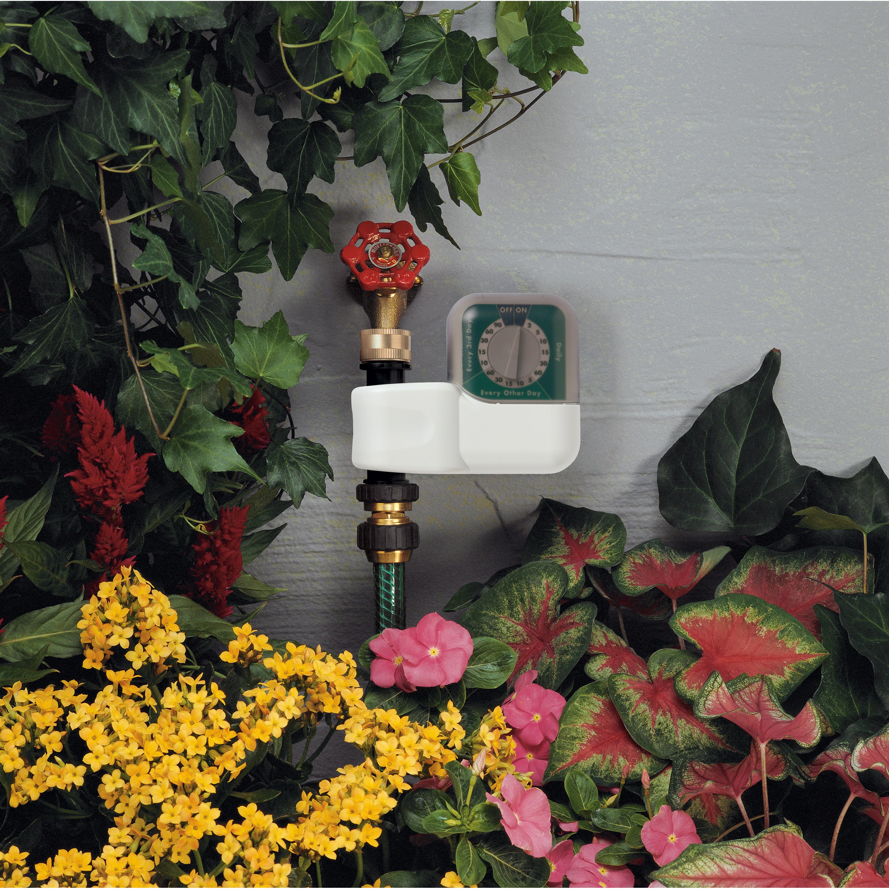 1-Outlet Automatic Single-Dial Hose Faucet Timer 62024 - Image 4