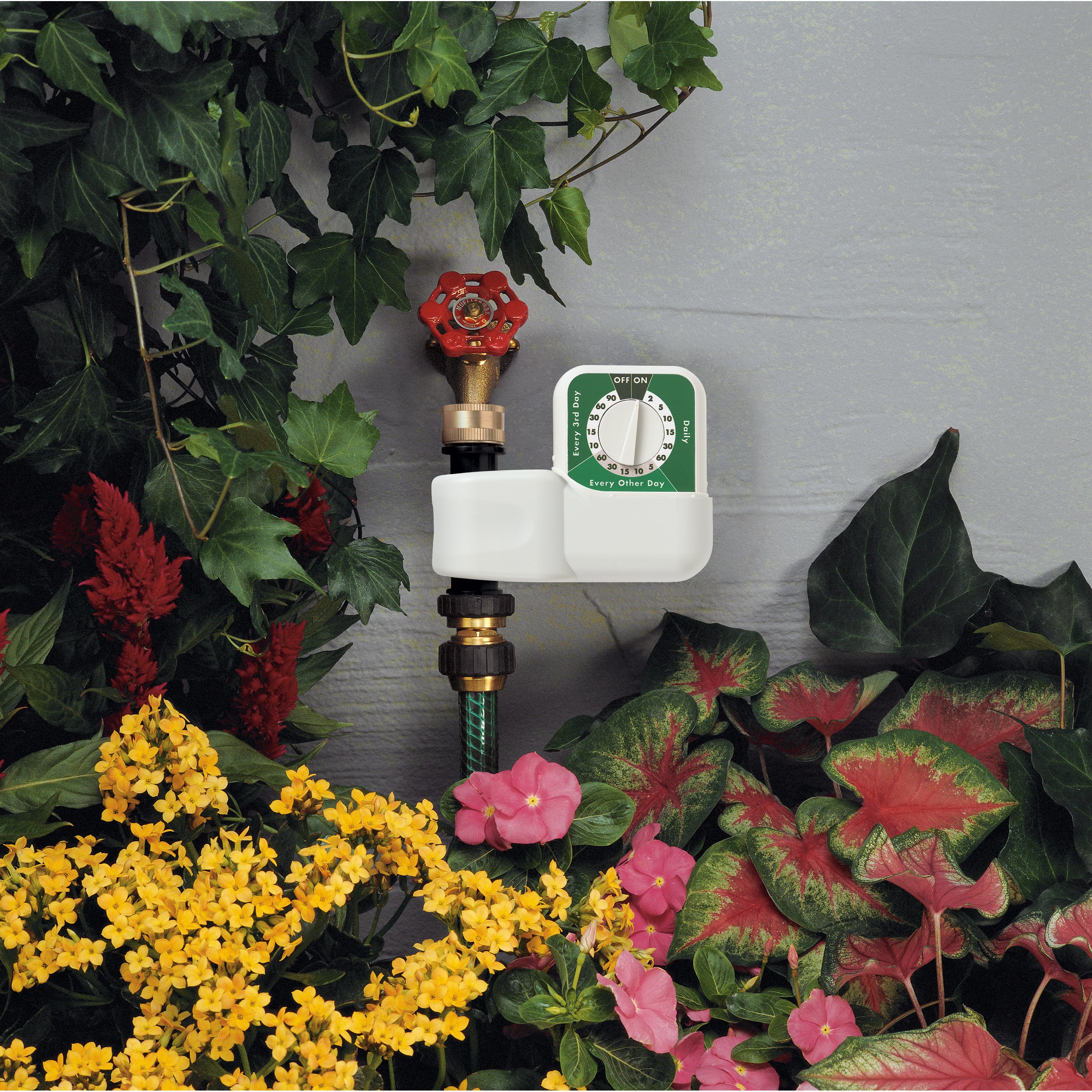 1-Outlet Automatic Single-Dial Hose Faucet Timer 62024 - Image 5
